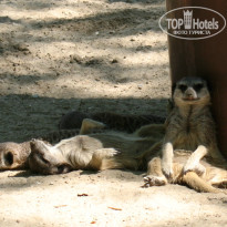 фото из отзыва ID 827281