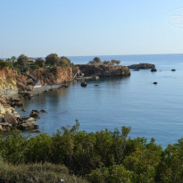 фото из отзыва ID 827468