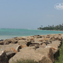 фото из отзыва ID 827703