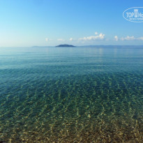 фото из отзыва ID 827792