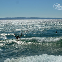 фото из отзыва ID 827792