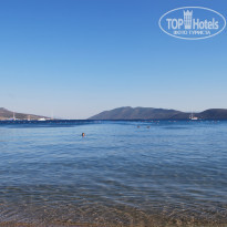 фото из отзыва ID 827506