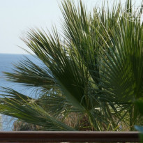 фото из отзыва ID 828048