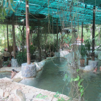 фото из отзыва ID 828351