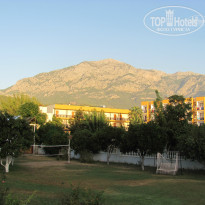 фото из отзыва ID 828528