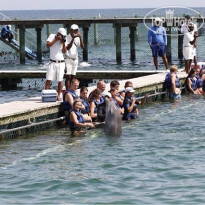 фото из отзыва ID 828660