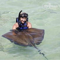 фото из отзыва ID 828660