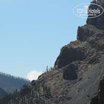 фото из отзыва ID 828771