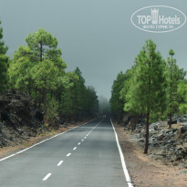 фото из отзыва ID 828771