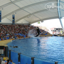 фото из отзыва ID 828771