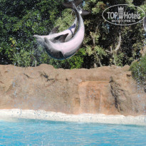 фото из отзыва ID 828771