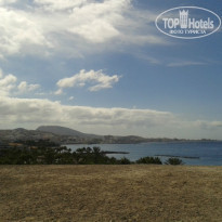 фото из отзыва ID 828771