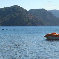 фото из отзыва ID 828782