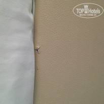 фото из отзыва ID 829027