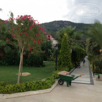 фото из отзыва ID 829070