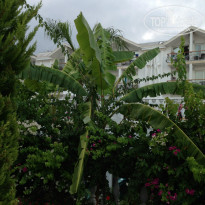 фото из отзыва ID 829070