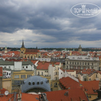 фото из отзыва ID 829211