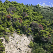 фото из отзыва ID 829230