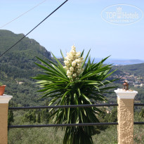 фото из отзыва ID 829230