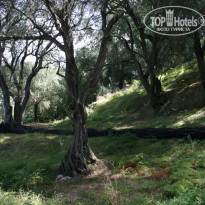 фото из отзыва ID 829230