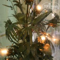 фото из отзыва ID 829230