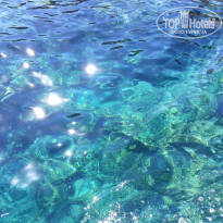 фото из отзыва ID 829230