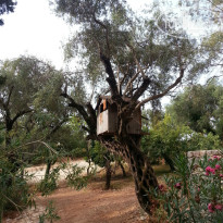 фото из отзыва ID 829230