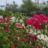 фото из отзыва ID 829230