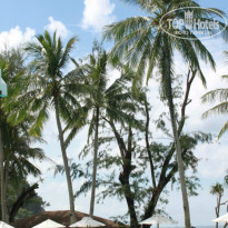 фото из отзыва ID 829258