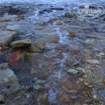 фото из отзыва ID 829735