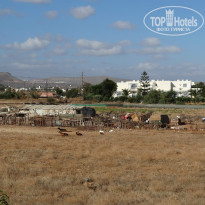 фото из отзыва ID 829788