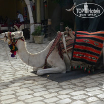 фото из отзыва ID 829951