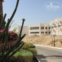 фото из отзыва ID 829900