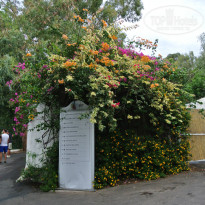 фото из отзыва ID 830344