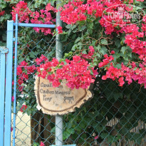 фото из отзыва ID 830344