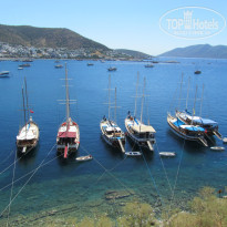 фото из отзыва ID 830400