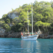 фото из отзыва ID 830400