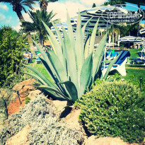 фото из отзыва ID 830439