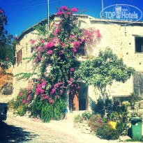 фото из отзыва ID 830439