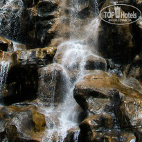 фото из отзыва ID 830488