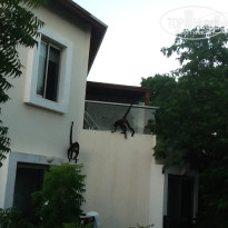 фото из отзыва ID 830534