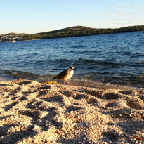 фото из отзыва ID 830800