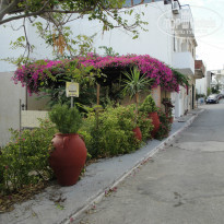 фото из отзыва ID 830801