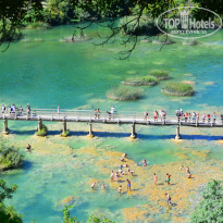 фото из отзыва ID 830800