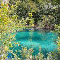 фото из отзыва ID 830800