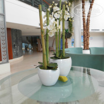 фото из отзыва ID 830911