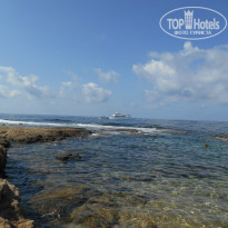 фото из отзыва ID 830911