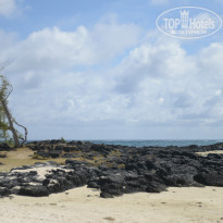 фото из отзыва ID 830690