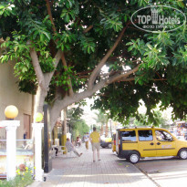 фото из отзыва ID 831088