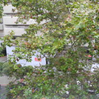 фото из отзыва ID 831235